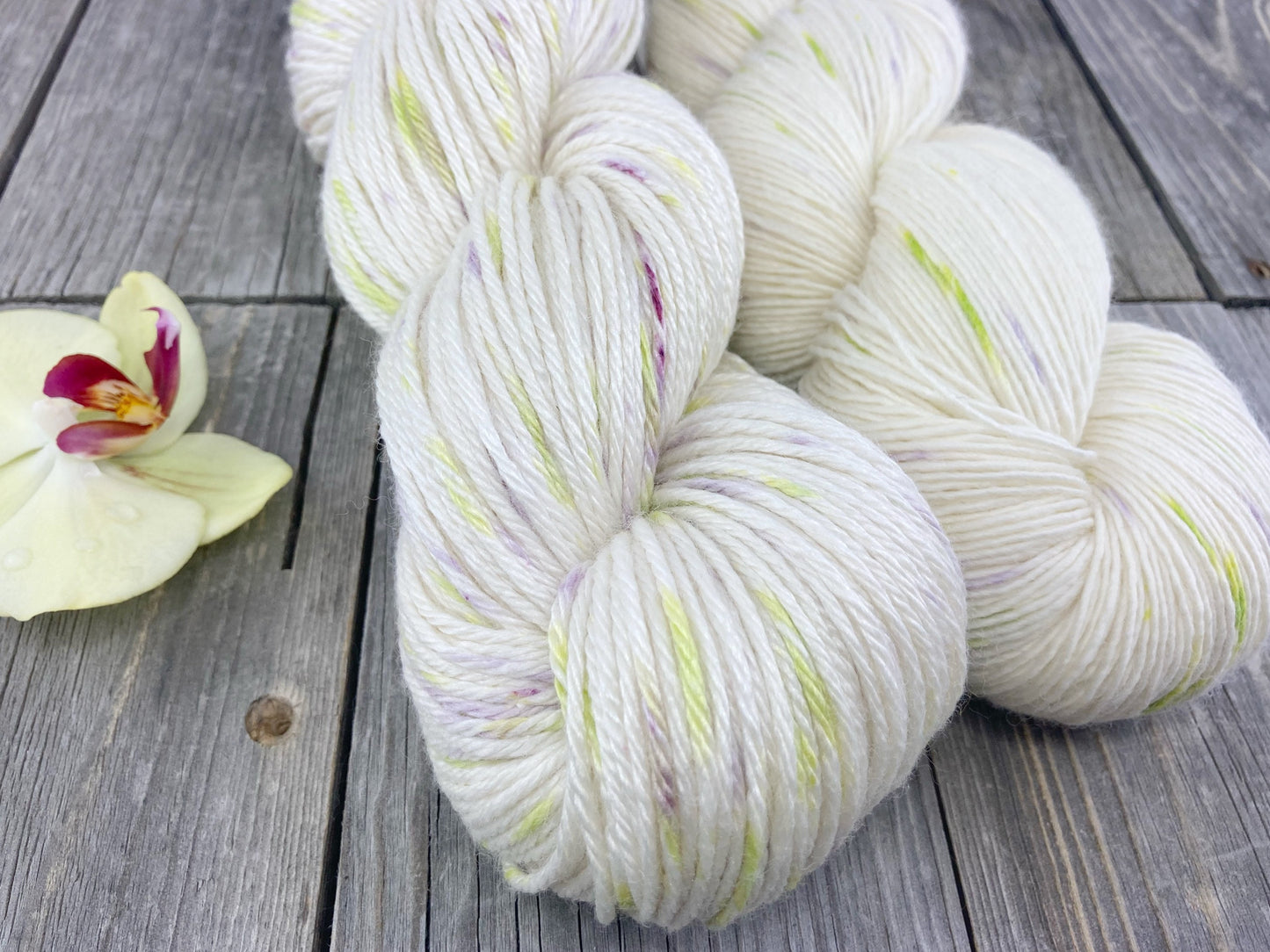 Wild Lilac Moon's Full Moon color "Nova"