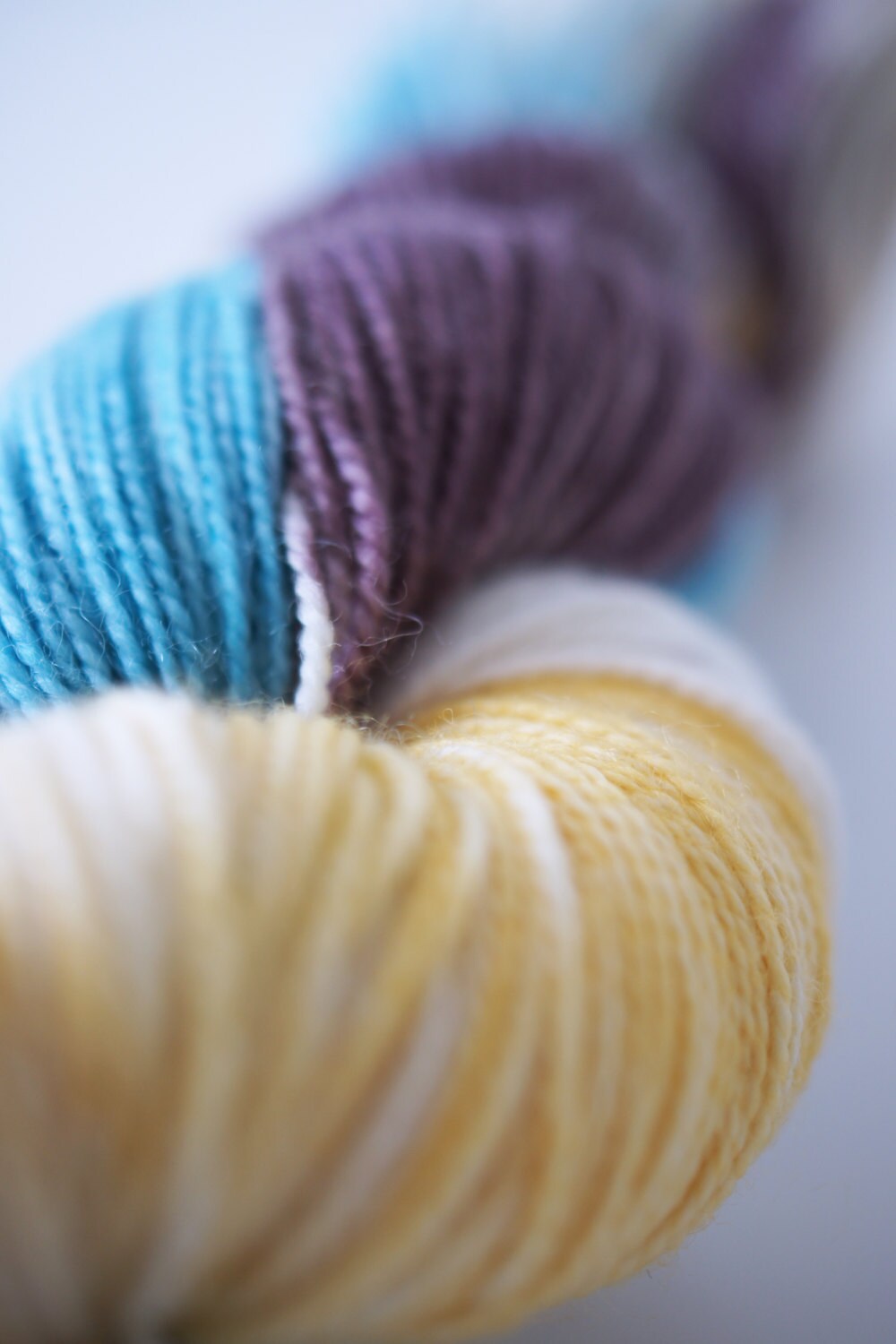 Wild Lilac Moon's Lilac Dream in color "Confusion"