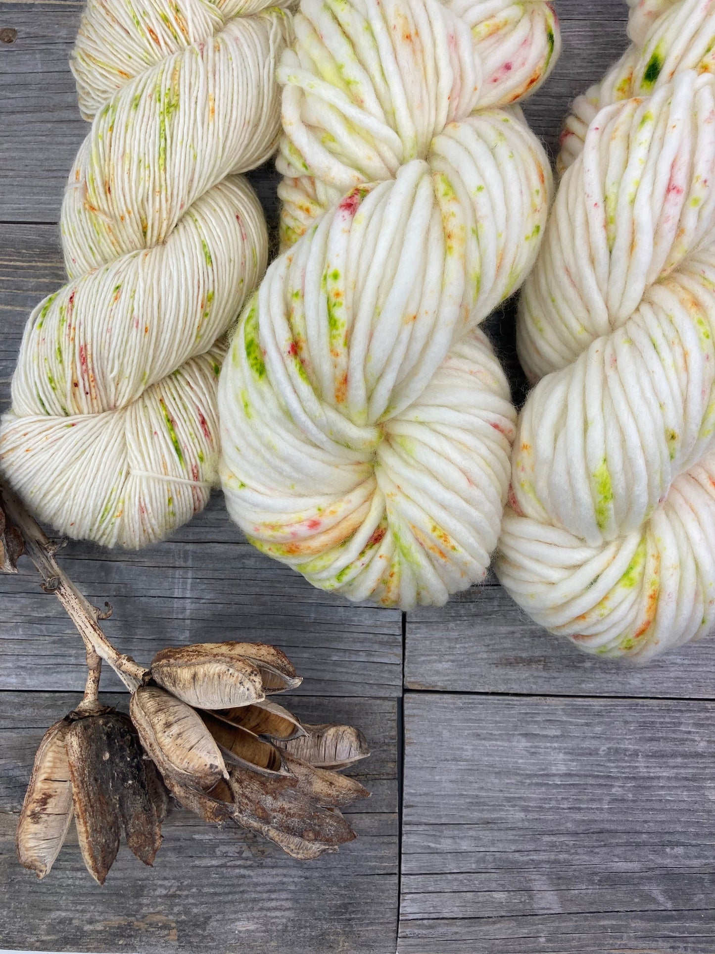 Wild Lilac Moon's Moonray SB in color "Summer Confetti"