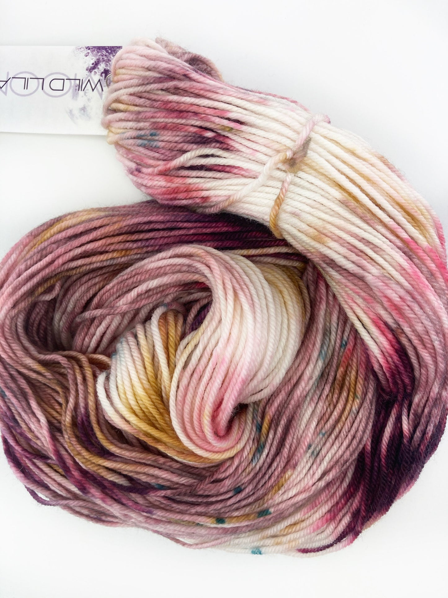 Wild Lilac Moon's Starlight in color "Melrose Place"