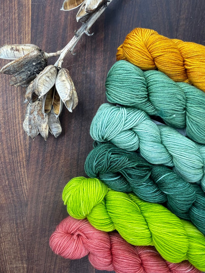 Yarn Packs . Superwash Merino Nylon Tencel Blend . Fingering