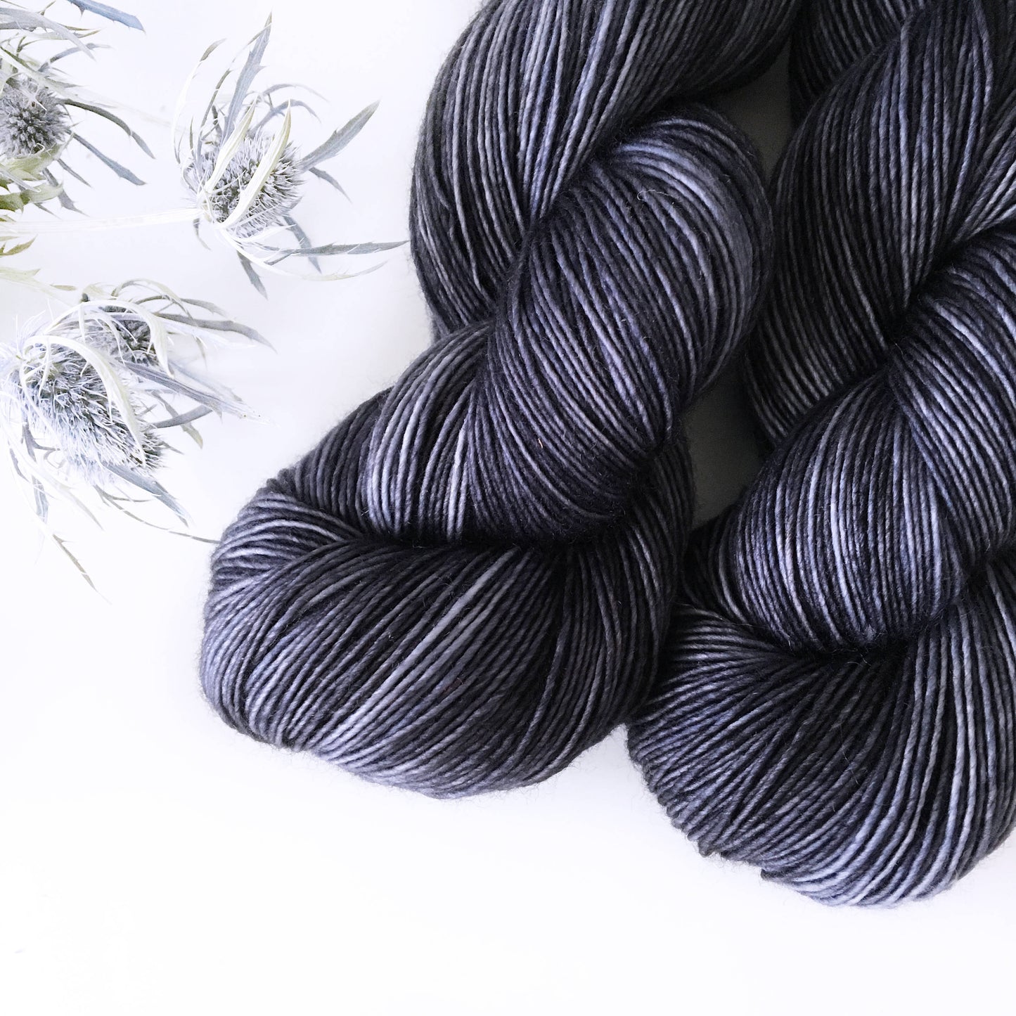 Wild Lilac Moon's Moonlight in color "Abyssinian"