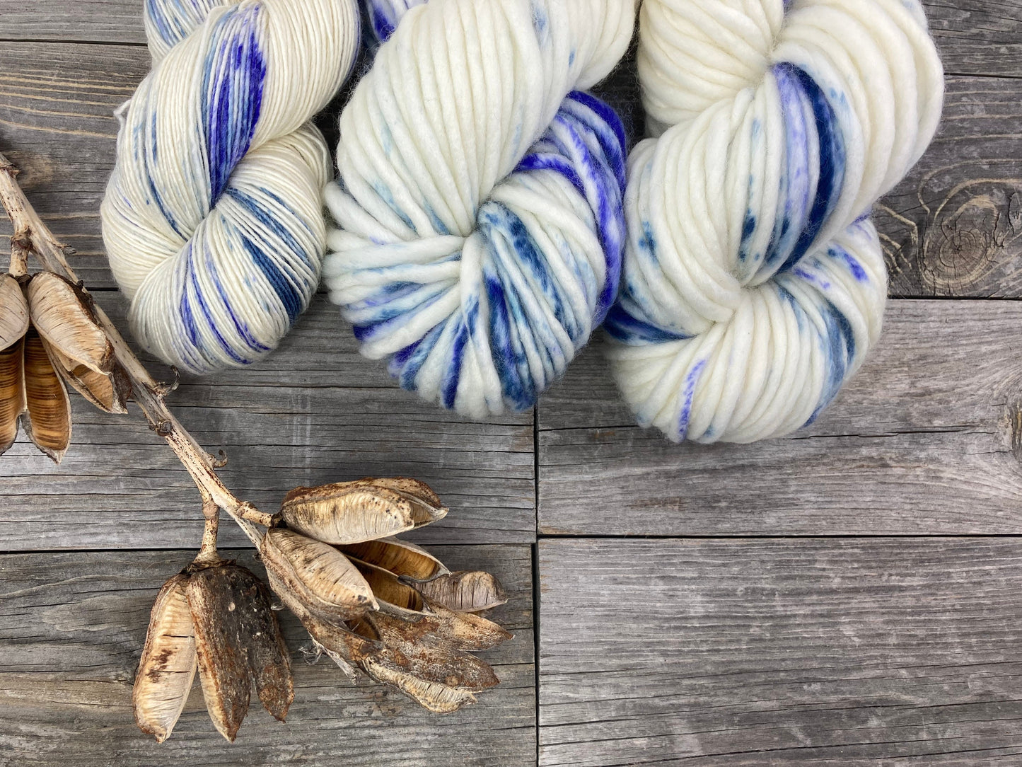 Wild Lilac Moon's Moonray SB and Moonlight in color "Blue Heron"