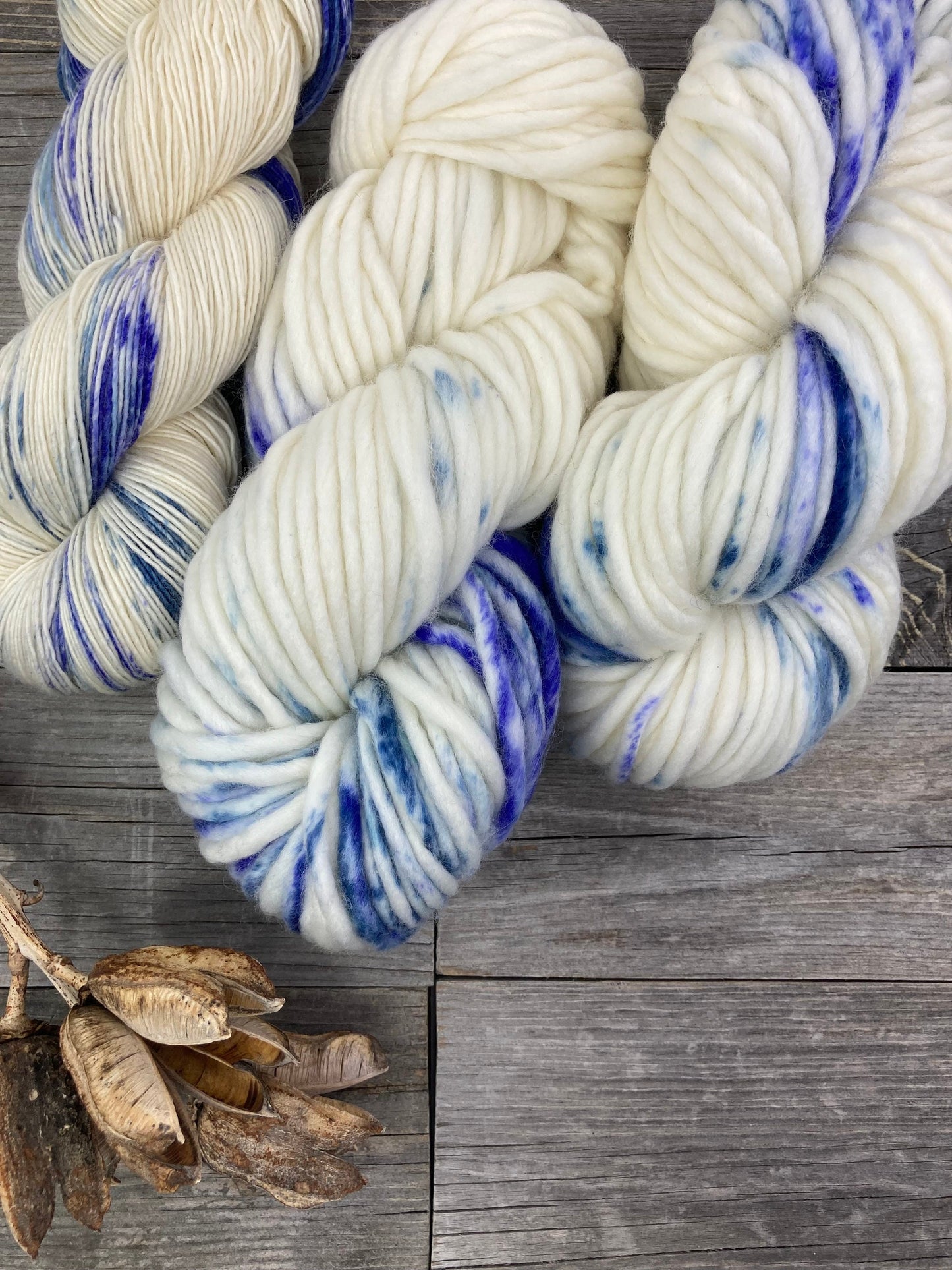 Wild Lilac Moon's Moonray SB and Moonlight in color "Blue Heron"