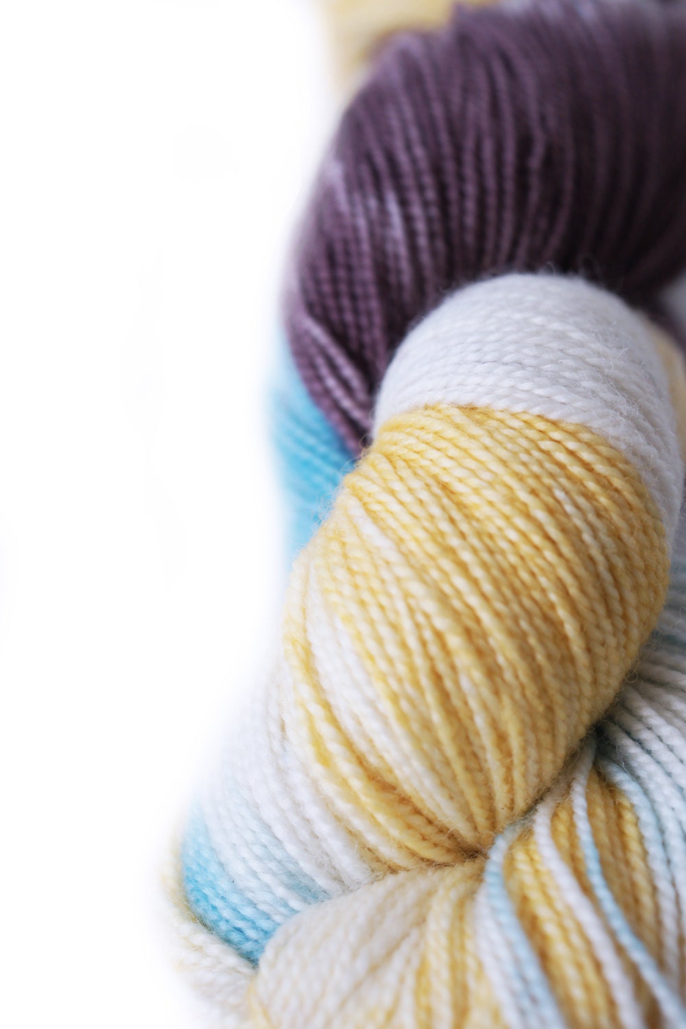 Wild Lilac Moon's Lilac Dream in color "Confusion"