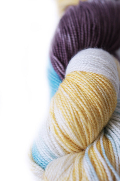 Wild Lilac Moon's Lilac Dream in color "Confusion"