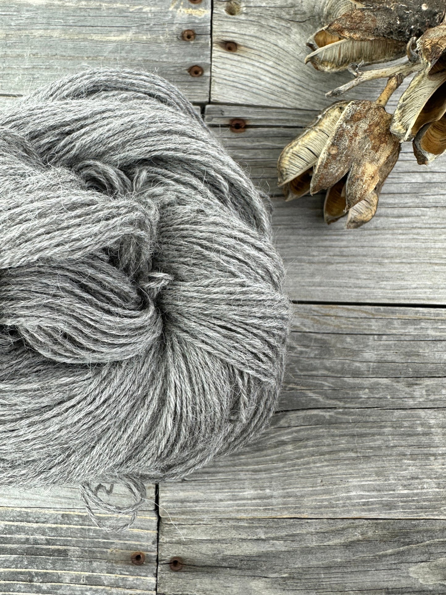 Baby Llama . undyed . Fingering . ecru and natural light grey