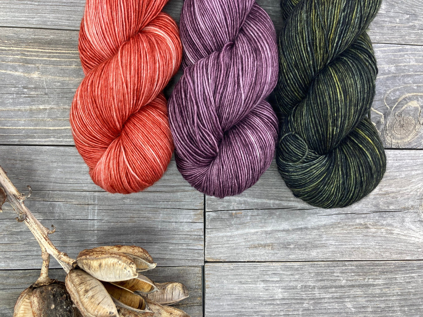 Wild Lilac Noon's Moonlight in color "Terra Cotta"