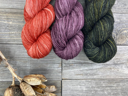 Wild Lilac Noon's Moonlight in color "Terra Cotta"