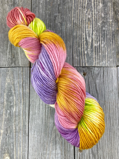 Wild Lilac Moon's Solstice in Color "Rainbow"