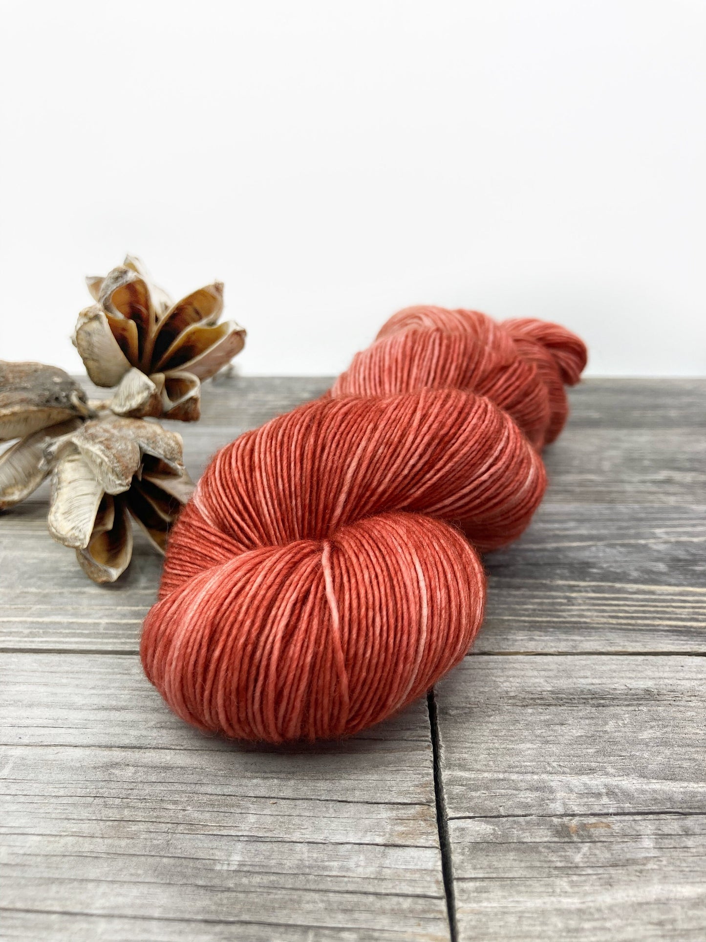 Wild Lilac Noon's Moonlight in color "Terra Cotta"