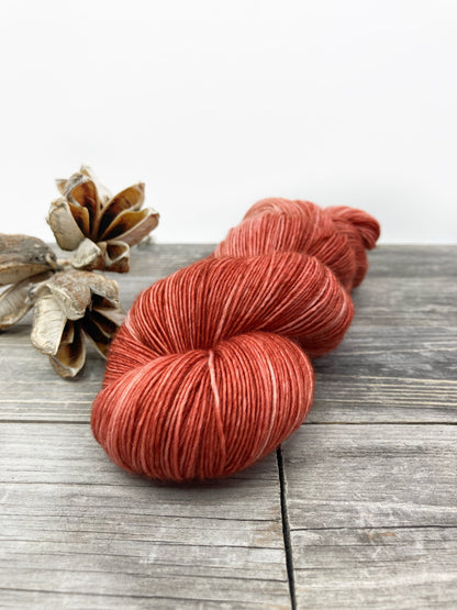 Wild Lilac Noon's Moonlight in color "Terra Cotta"