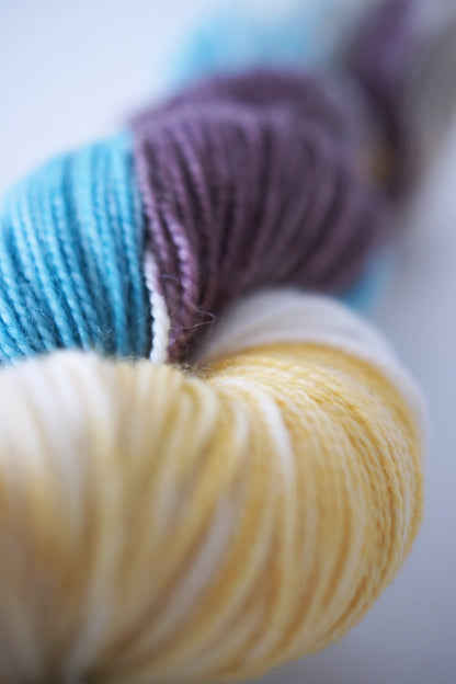 Wild Lilac Moon's Lilac Dream in color "Confusion"