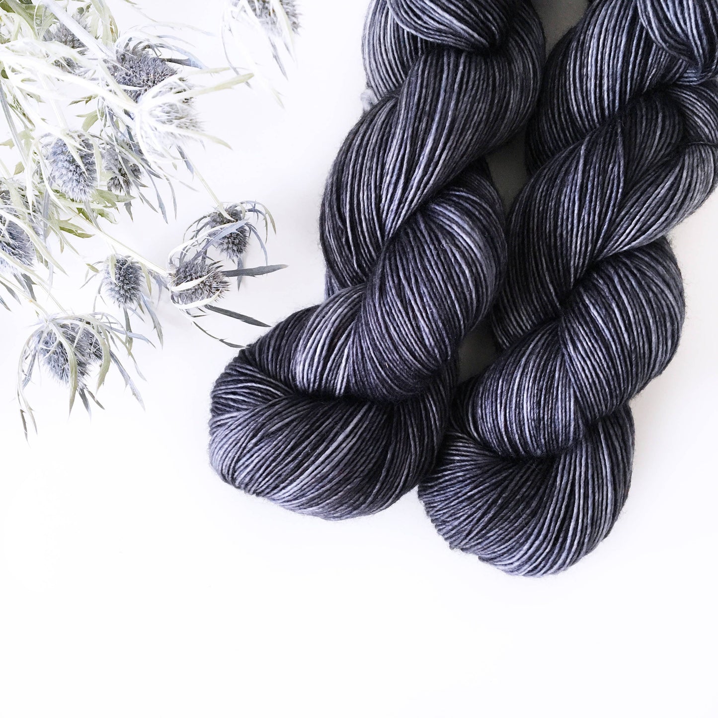 Wild Lilac Moon's Moonlight in color "Abyssinian"