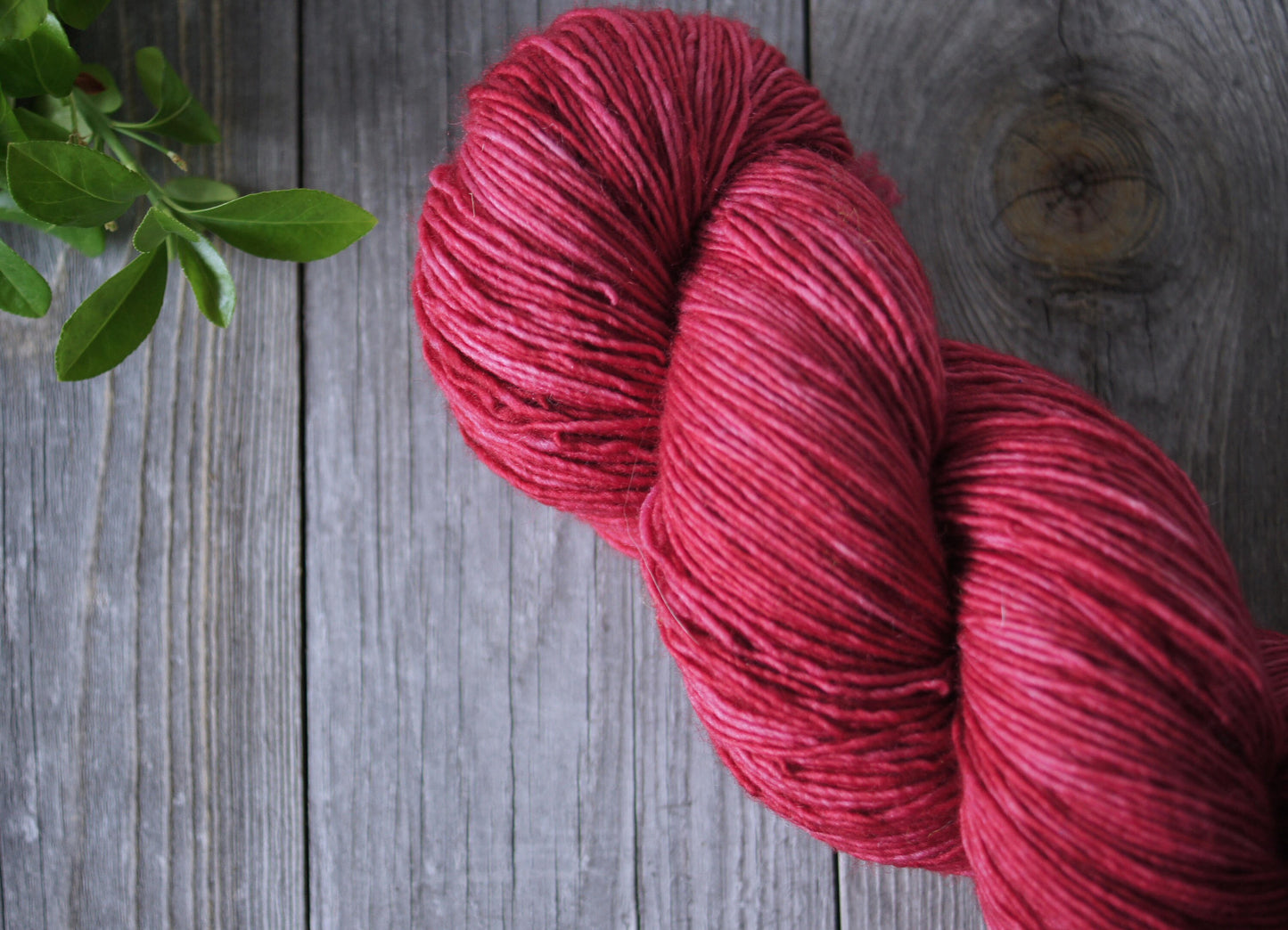 Wild Lilac Moon's Moonlight . color "Kitty Nose"