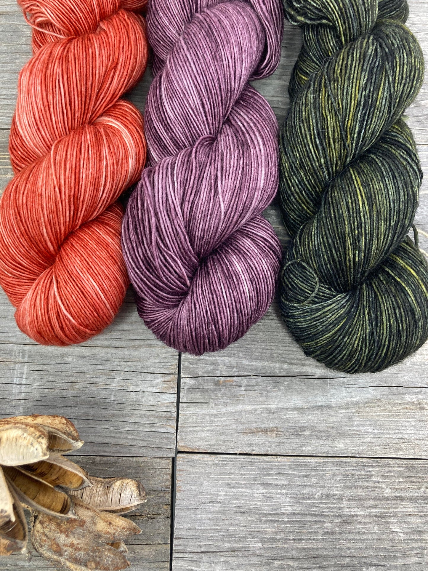 Wild Lilac Noon's Moonlight in color "Terra Cotta"