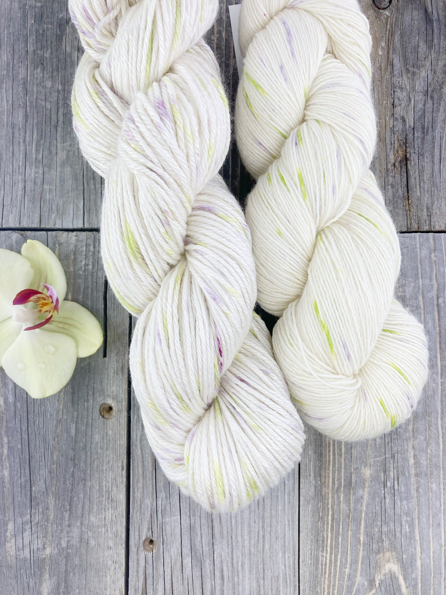 Wild Lilac Moon's Full Moon color "Nova"