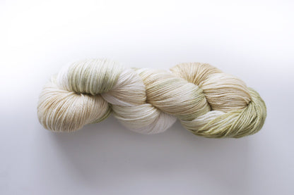 Wild Lilac Moon's Wild Moon in "Sea Shell"